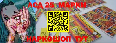 шишки Можга