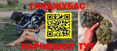 шишки Можга