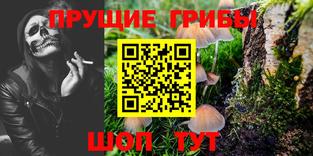 Новокубанск  Галлюциногенные грибы мухоморы  Вход с VPN 