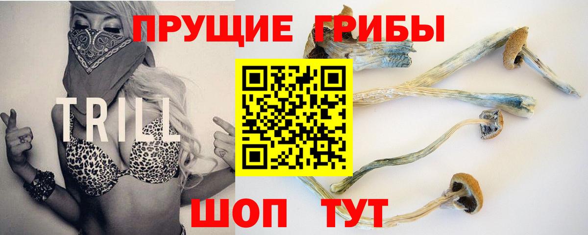 Галлюциногенные грибы Psilocybine cubensis Новокубанск