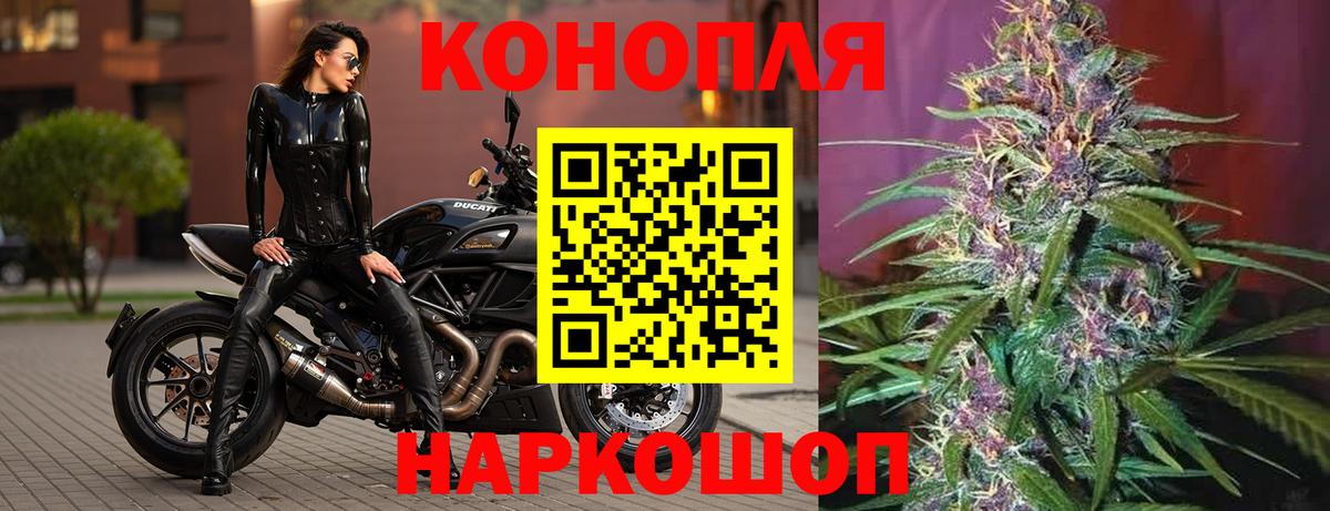 Бошки Шишки гибрид  Вход с VPN  Новокубанск  Каннабис ГИДРОПОН  Канабис VHQ 